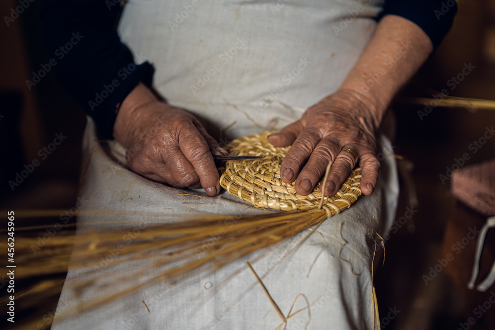 hands of an elderly woman working on ears of corn