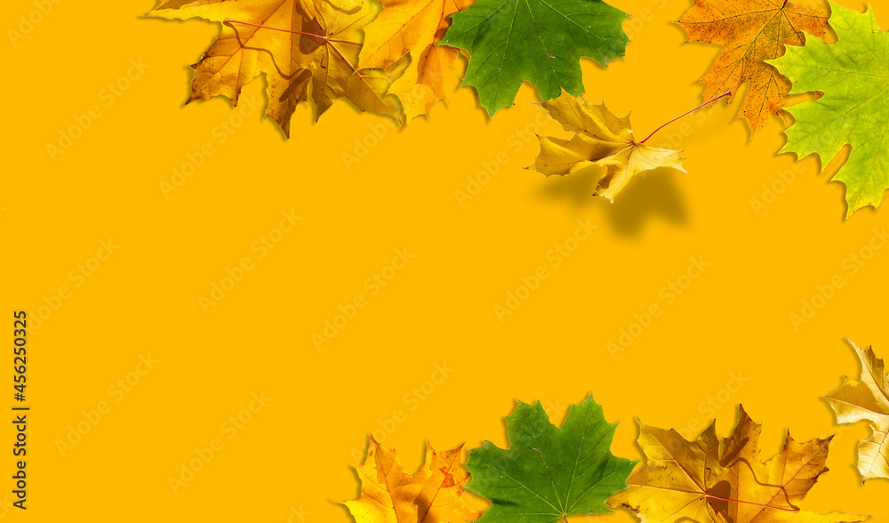 Autumn Sale banner background with leaves