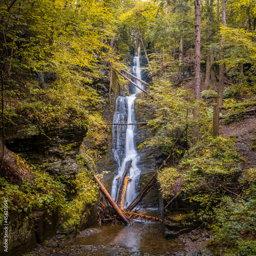 Waterfall in the forest at Dingman's Falls Pennsylvania