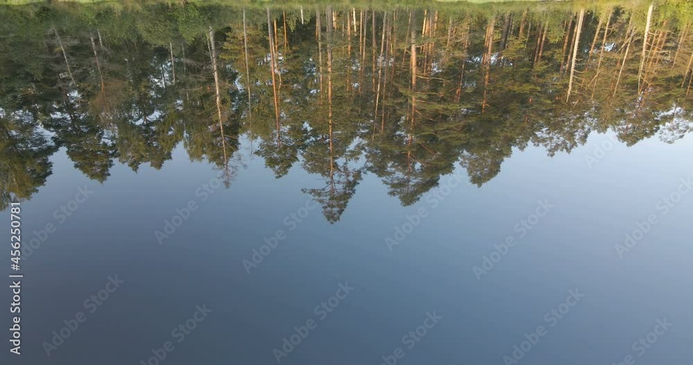 lake and forest from a small height lake and forest from a small height