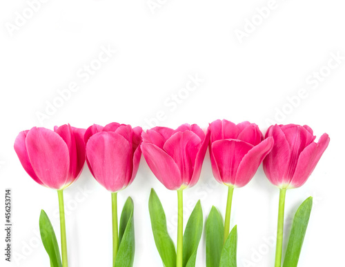 Tulips, isolated on white