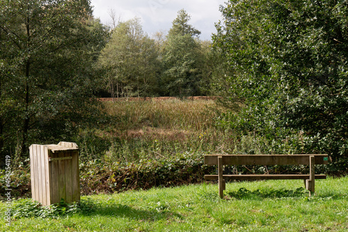 bench in the park