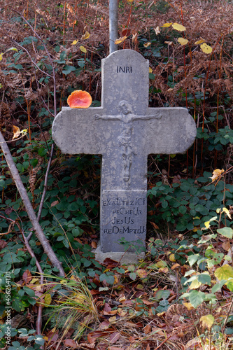 Catholic Cross isolated in the forest