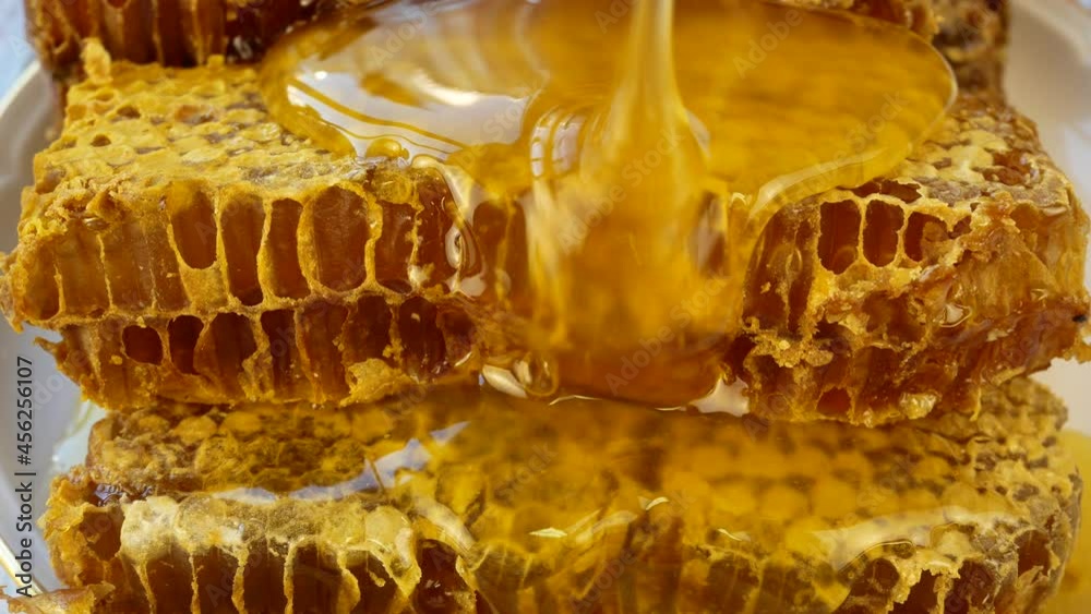Liquid golden sweet honey is poured on top of the honeycomb. Honey flows down the waxy combs. Harvesting honey in the apiary Liquid golden sweet honey is poured on top of the honeycomb. Honey flows down the waxy combs. Harvesting honey in the apiary