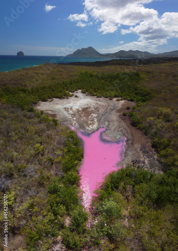 Mangrove rose en Martinique vue aérienne drone
