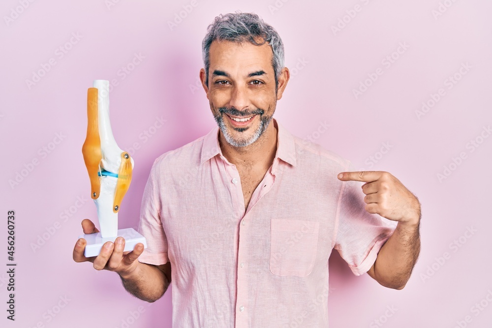 Handsome middle age man with grey hair holding anatomical model of knee joint pointing finger to one self smiling happy and proud Handsome middle age man with grey hair holding anatomical model of knee joint pointing finger to one self smiling happy and proud