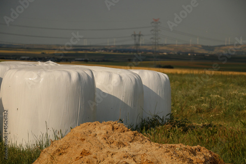 Hay Bales wrapped in white plastic for shipping, lined up ready for sale On a farm outdoors on a sunny day with clear blue skies. selective focus 