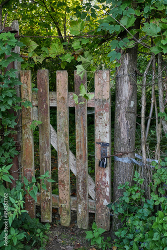 The door to the garden is closed with a large metal lock.