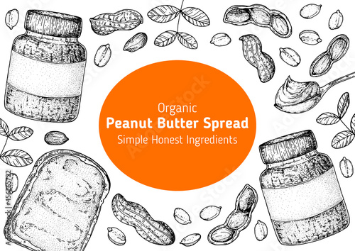 Peanuts and ingredient for peanut butter sketch. Hand drawn vector illustration. Design template. Vegan food