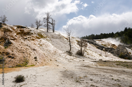 thermal springs and limestone formations at mammoth hot springs in Wyoming in America photo