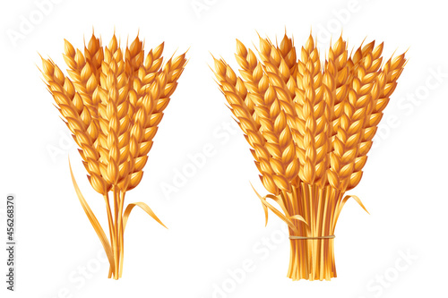 Two sheaves of wheat ears. Vector illustration isolated on white background.