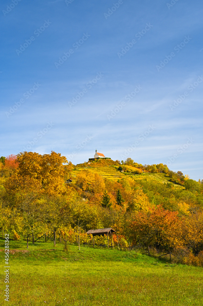 Autumnal scenery showing the St. Remigius Chapel (Wurmlingen Chapel) on the top of a yellow-colored vineyard under a partly-cloudy sky. Autumnal scenery showing the St. Remigius Chapel (Wurmlingen Chapel) on the top of a yellow-colored vineyard under a partly-cloudy sky.