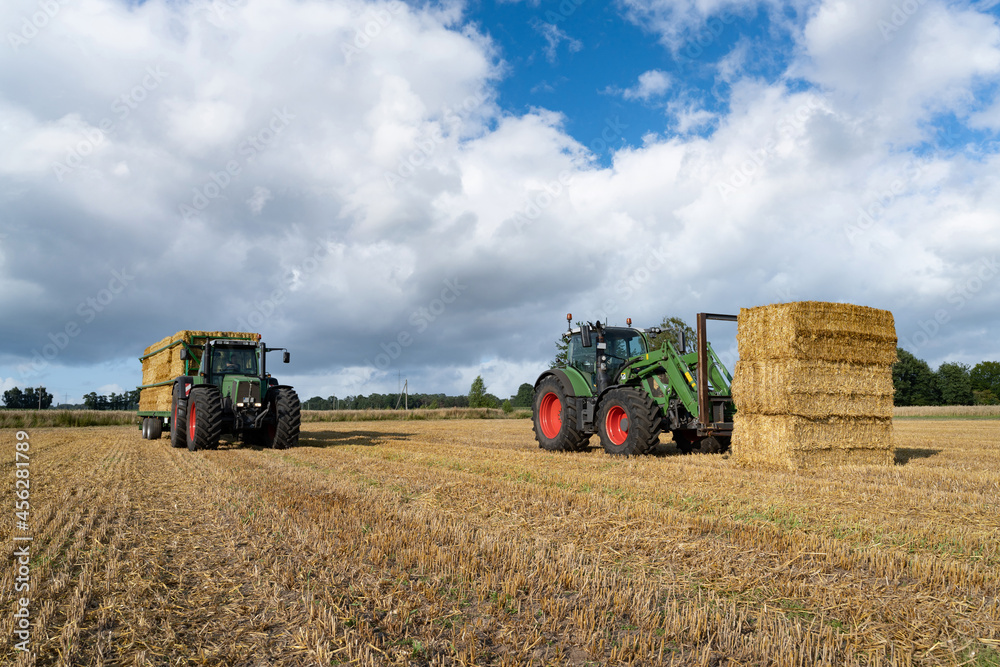 Obraz premium Strohernte - Traktor mit Frontlader beim Beladen eines Transportanhängers mit Strohballen.