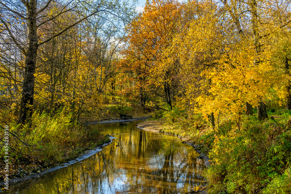 Golden autumn on the banks of the Murzinka River in St. Petersburg.