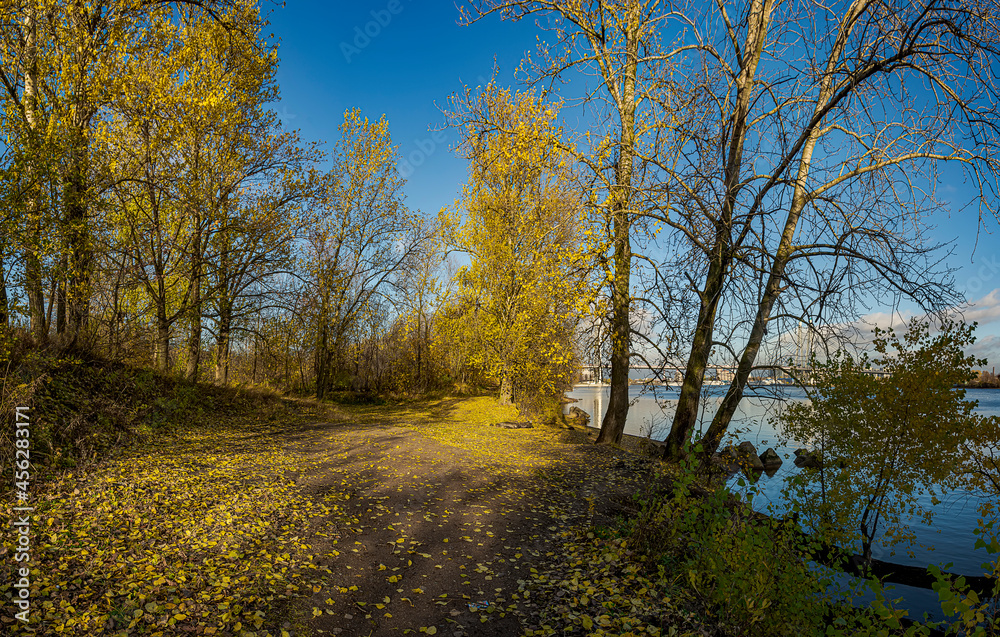 Golden Autumn on the banks of the Neva River in St. Petersburg. Golden Autumn on the banks of the Neva River in St. Petersburg.