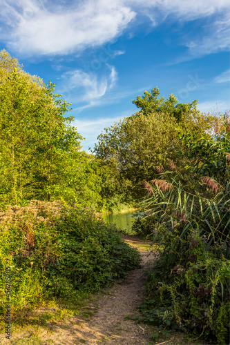 Schmaler Wanderweg zu einem kleinen Weiher, umgeben von einem Waldgebiet