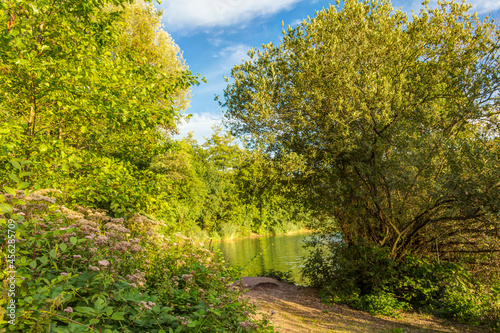 Schmaler Wanderweg zu einem kleinen Weiher, umgeben von einem Waldgebiet photo