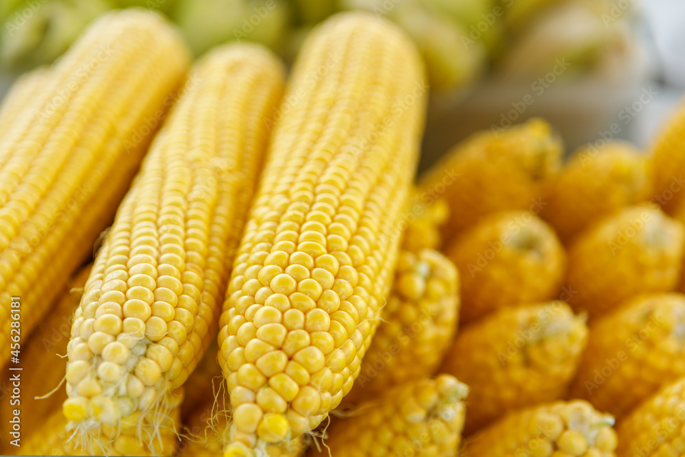 Ears of boiled delicious corn close-up. Ears of boiled delicious corn close-up.