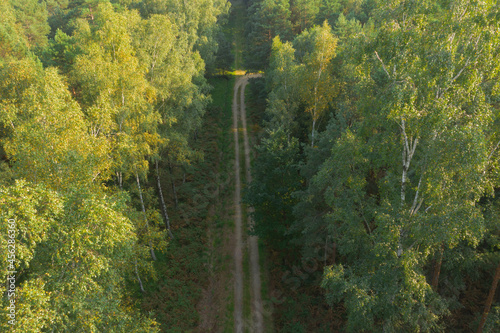 Fototapeta Naklejka Na Ścianę i Meble -  Gruntowa, leśna droga. Widok z drona.