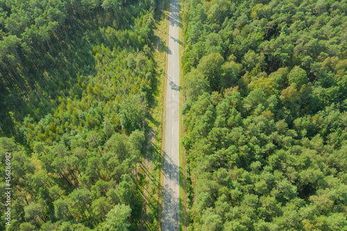 Asfaltowa droga w sosnowym lesie. Widok z drona.