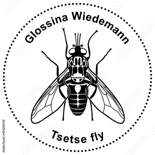 Semiabstract figure of a tsetse fly (ID: 456290769)