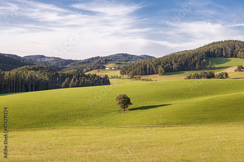 Landschaftsbild im Mühlviertel, Oberösterreich