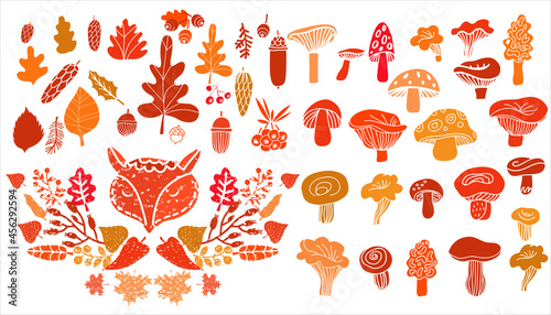 Floral  autumn set elements 1