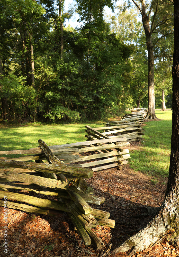 Split rail fence along the woods Split rail fence along the woods