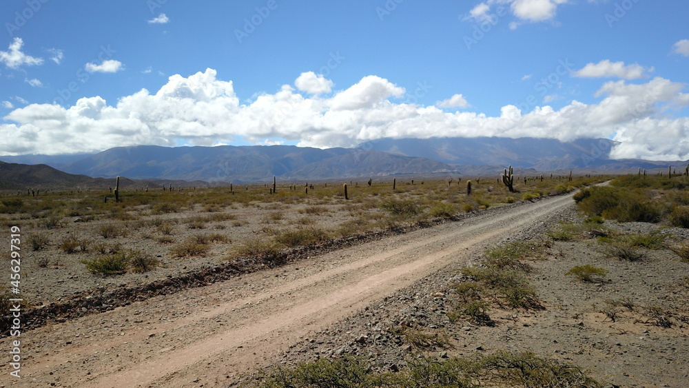 Los Cardones National Park desert with cacti and mountains (Profile D-Log)