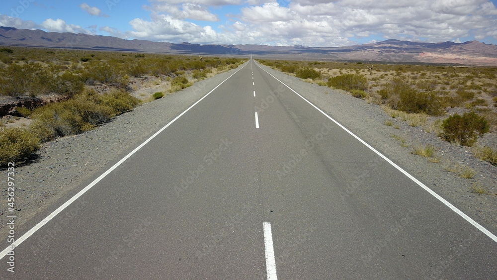 Los Cardones National Park desert with cacti and mountains (Profile D-Log)