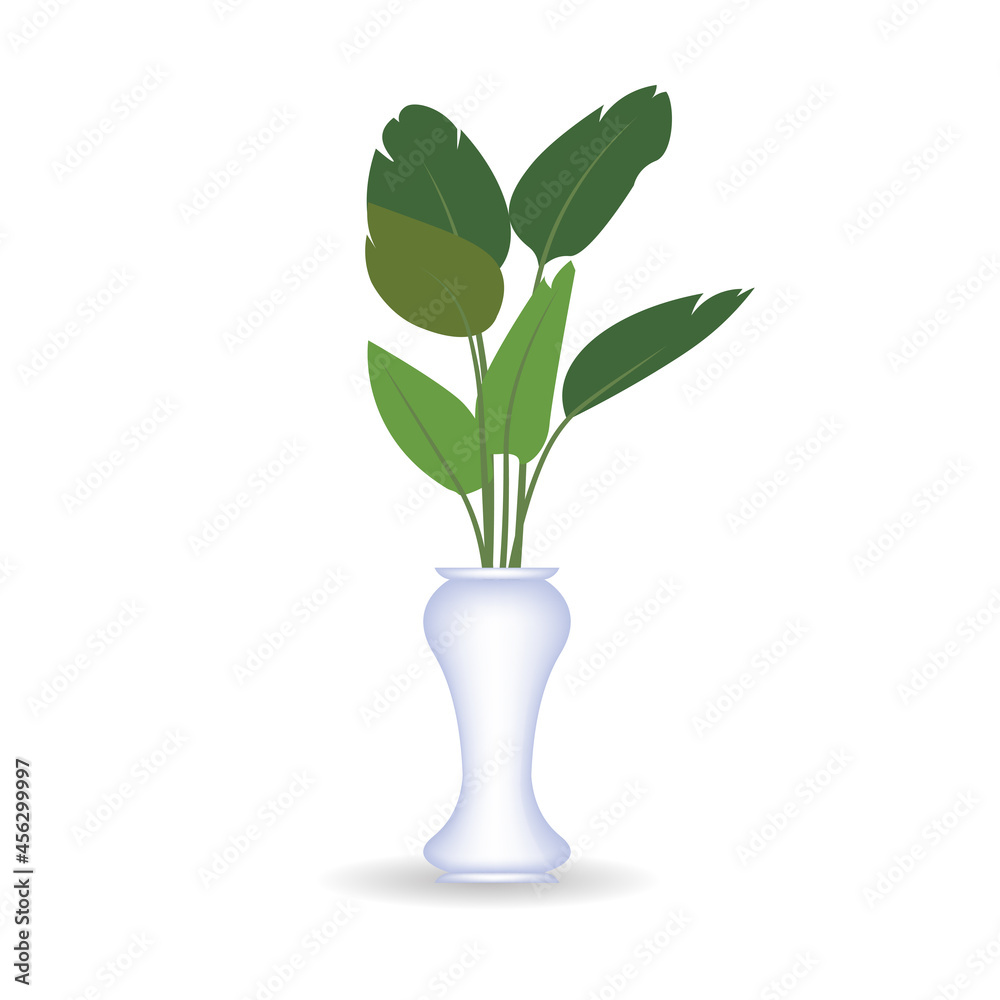 Naklejka premium vector illustration of ornamental plants in pots. isolated white background