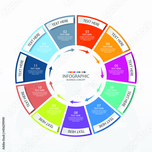 Basic circle infographic template with 11 steps, process or options, process chart.