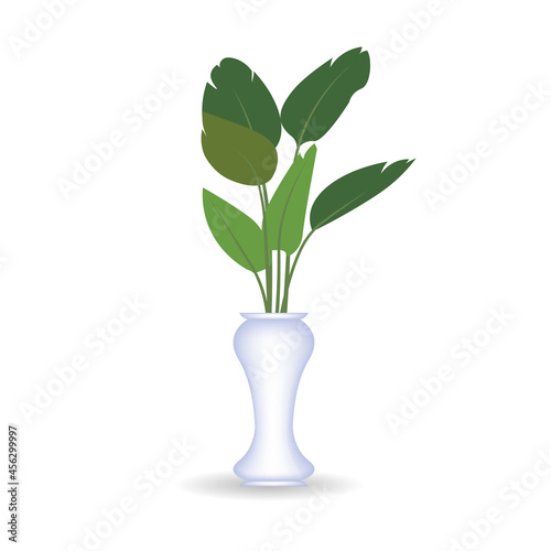 vector illustration of ornamental plants in pots. isolated white background