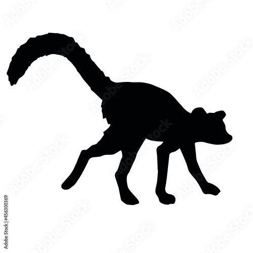 Vector hand drawn lemur silhouette isolated on white background © Sweta
