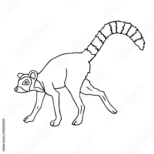 Vector hand drawn doodle sketch lemur isolated on white background
