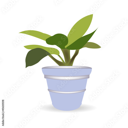 vector illustration of a cartoon plant in a pot. isolated white background