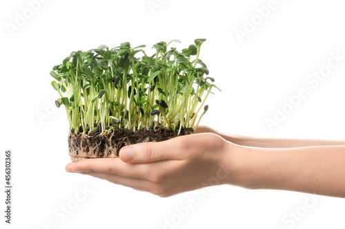Foto Woman with fresh micro green isolated on white background, closeup