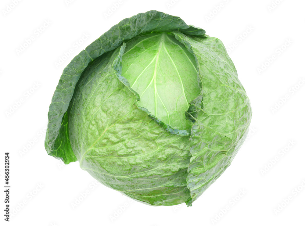 Fototapeta premium close up on fresh cabbage