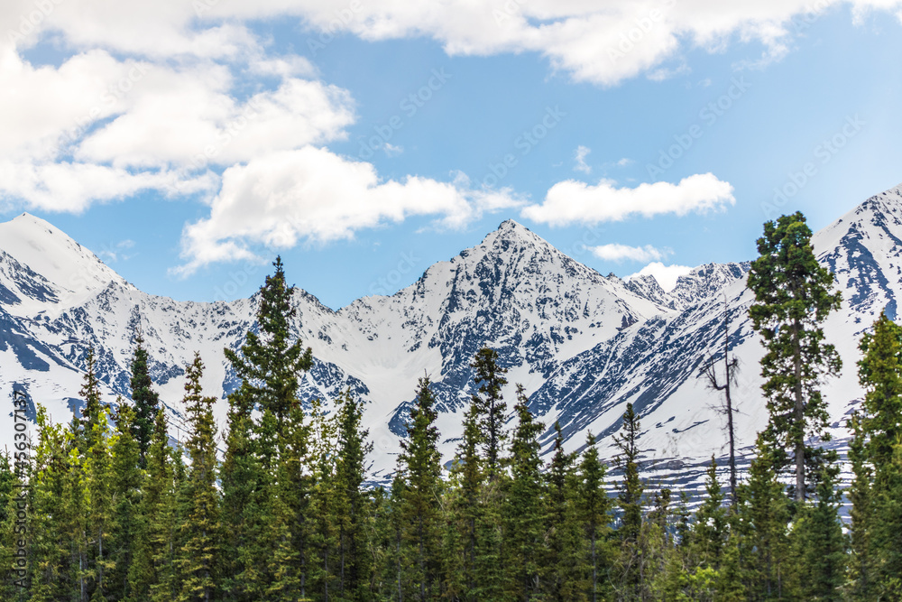 Stunning spring time landscape in northern Canada with magnificent snow capped mountains and boreal forest in the foreground. 