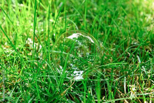 Soap bubble on green grass outdoors