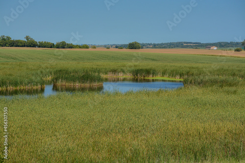 Fényképezés Beautiful wetlands of Hamden Slough on the Detroit Lakes in Audubon, Becker Coun
