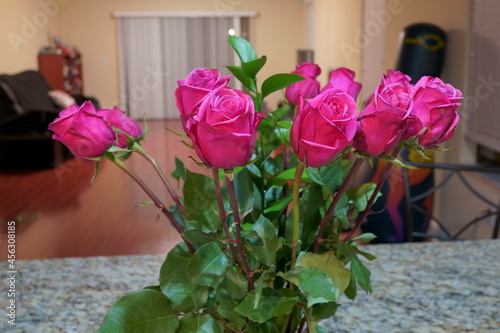 Wallpaper Mural Beautiful special pink rose flower and green leaf	 Torontodigital.ca