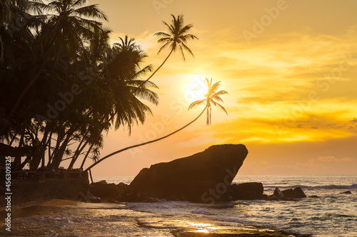 Dalawella beach in Sri Lanka photo