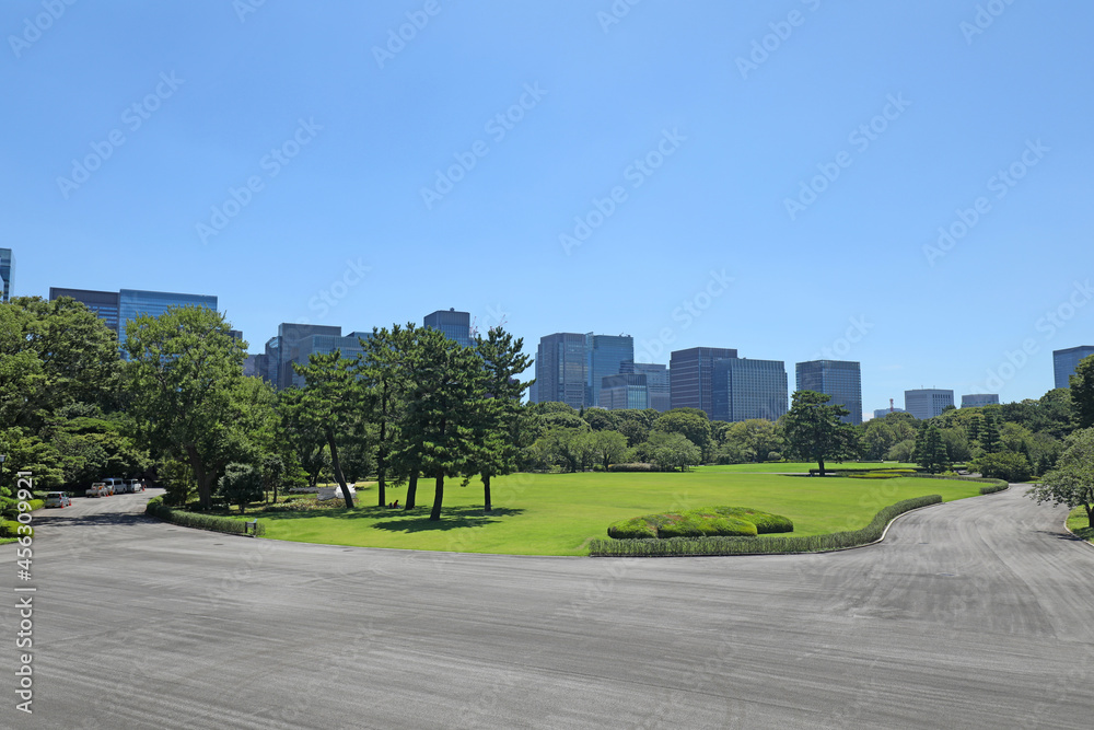 江戸城本丸跡と丸の内の高層ビル群 江戸城本丸跡と丸の内の高層ビル群