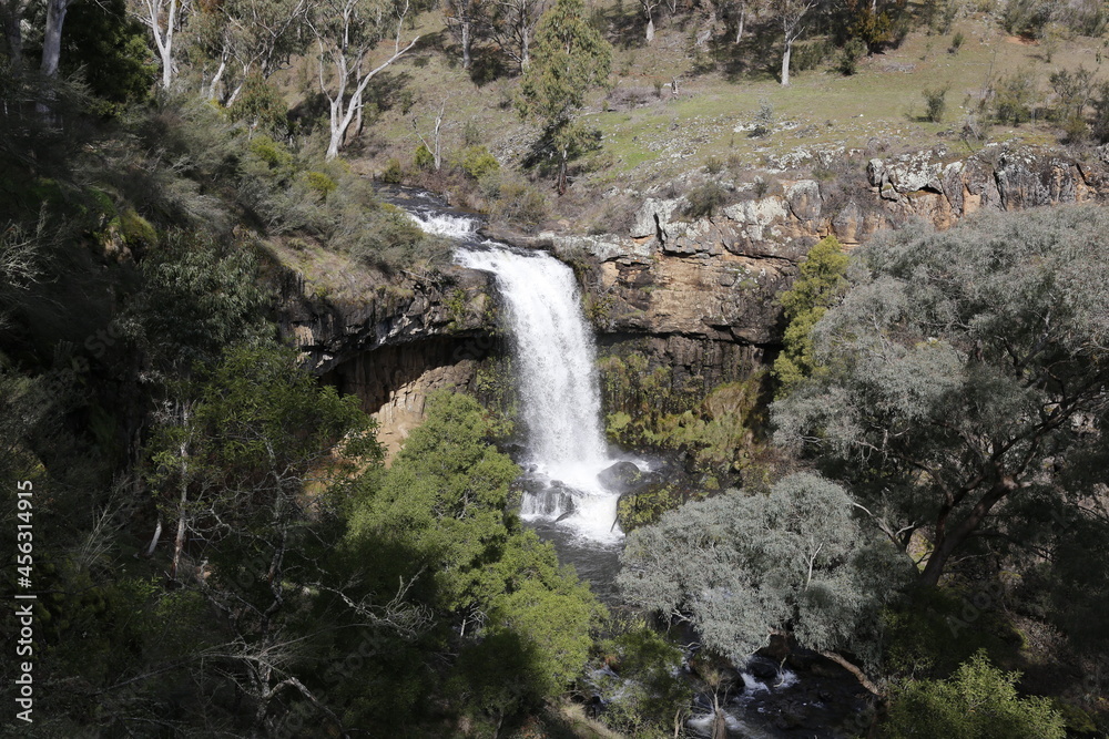 Obraz premium waterfall in the forest