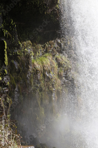 waterfall in the forest