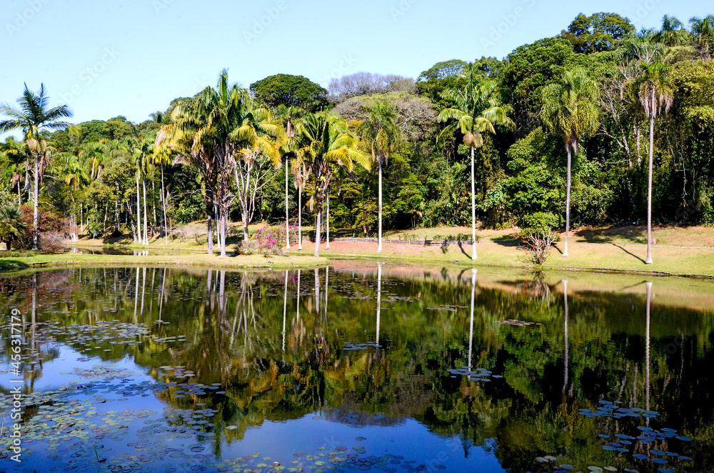 Obraz premium Lago das Ninféias, Jardim Botânico, Sao Paulo.
