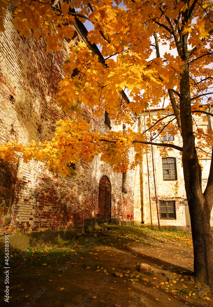 Autumn scenery in Vyborg, Russia