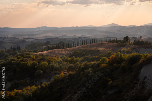 Beautiful idyllic sunny late summer landscape of Toscana with hills  trees  fields and forests. Evening or morning in Italy. Vacation  recreation mood. Agricultural fields of Tuscany 