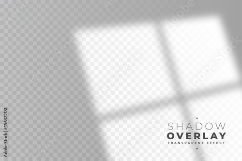 transparent shadow overlay of room window